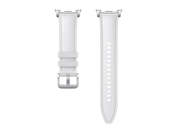 Galaxy Watch8  Watch8 Classic Hybrid Band (S/M/L)